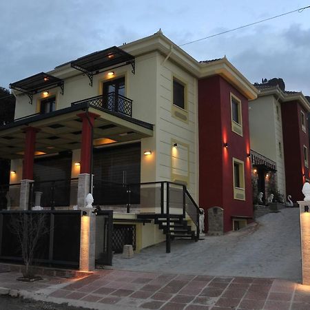 Dominique Meteora House Lägenhet Kalampaka Exteriör bild